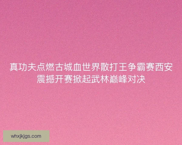 真功夫点燃古城血世界散打王争霸赛西安震撼开赛掀起武林巅峰对决